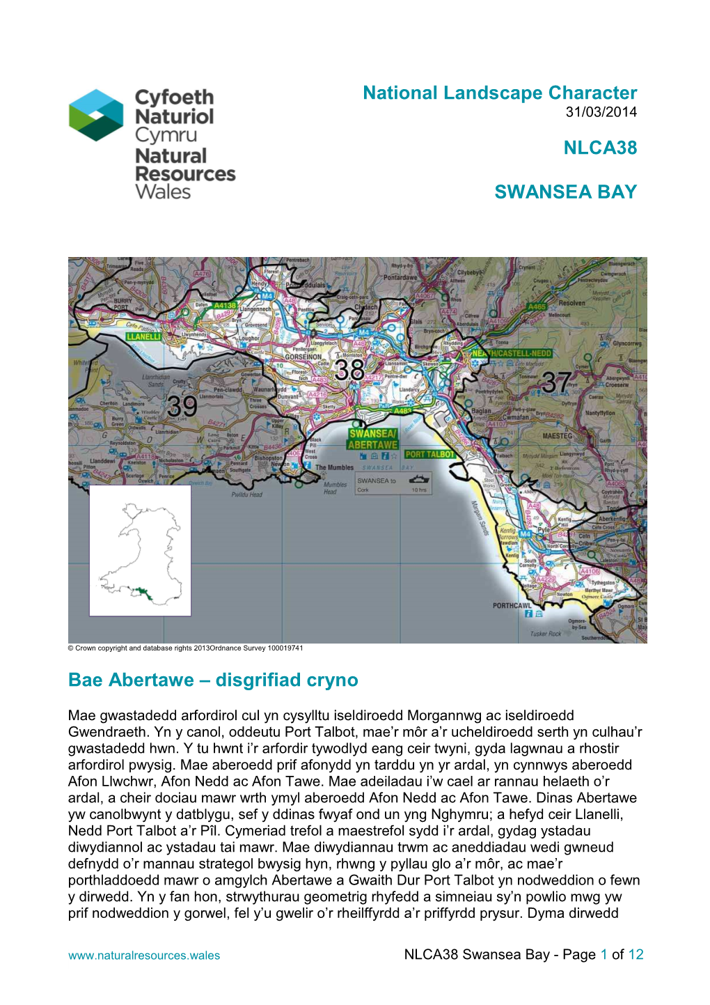 NLCA38 Swansea