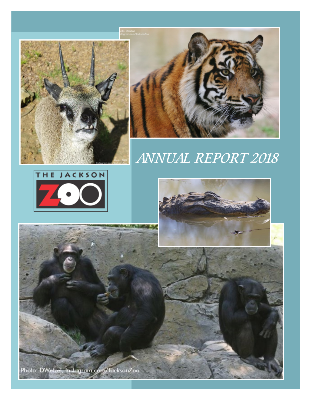 Annual Report 2018