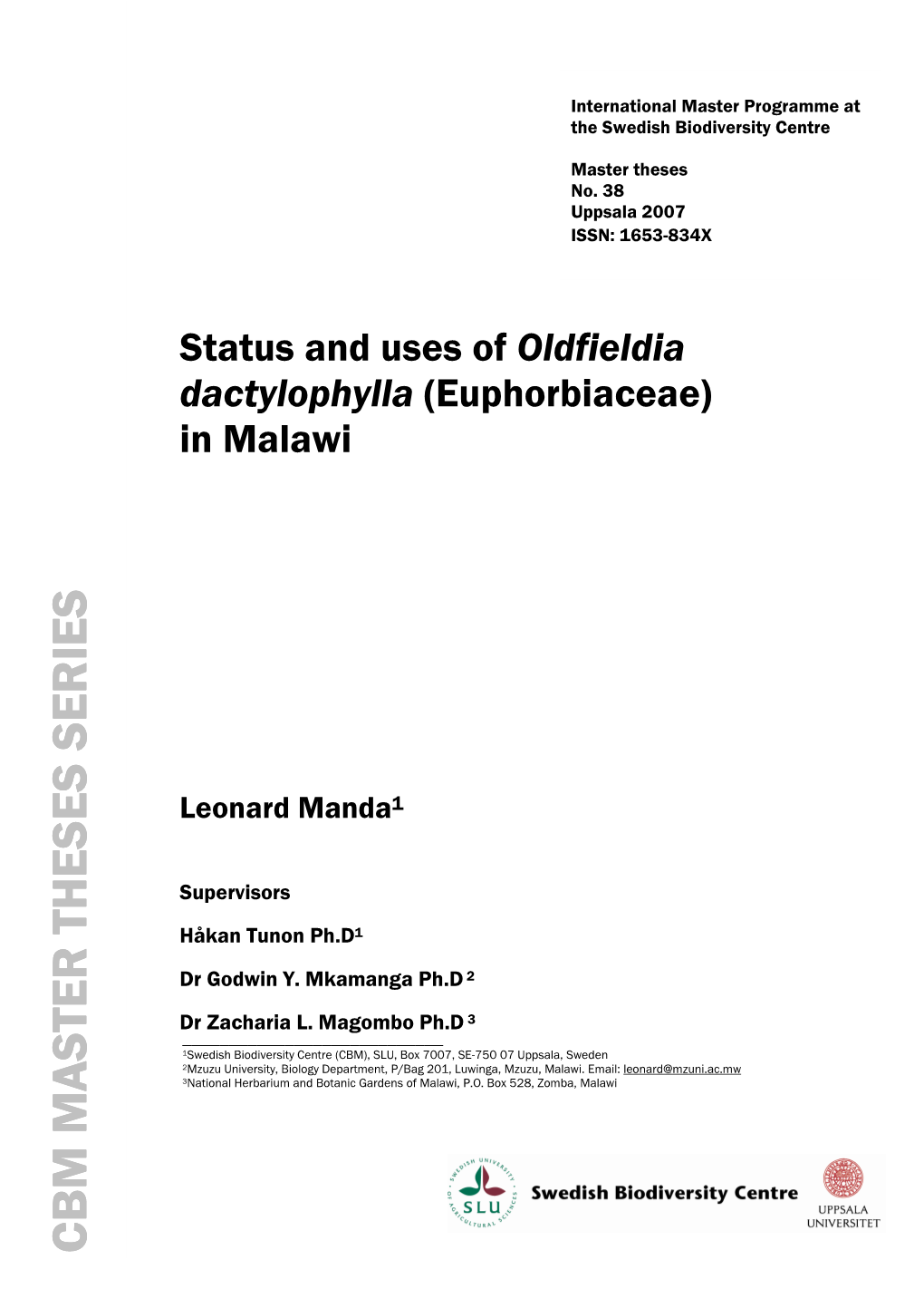 Leonard Manda Thesis