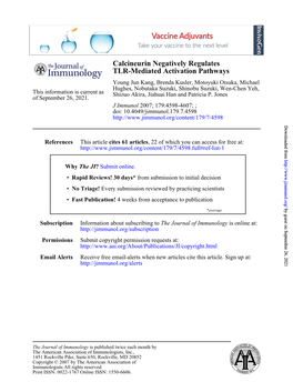 TLR-Mediated Activation Pathways Calcineurin Negatively Regulates