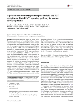 G Protein-Coupled Estrogen Receptor Inhibits the P2Y Receptor-Mediated Ca2+ Signaling Pathway in Human Airway Epithelia