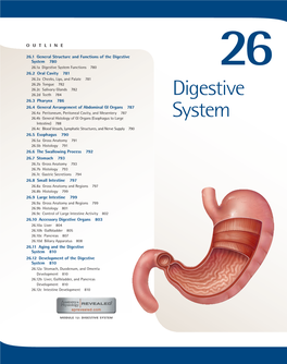 Digestive System