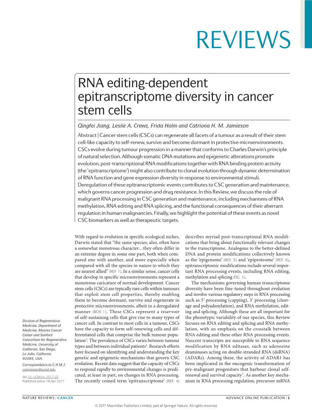 RNA Editing-Dependent Epitranscriptome Diversity in Cancer Stem Cells