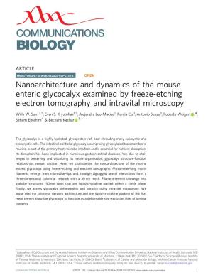 Nanoarchitecture and Dynamics of the Mouse Enteric Glycocalyx Examined by Freeze-Etching Electron Tomography and Intravital Microscopy
