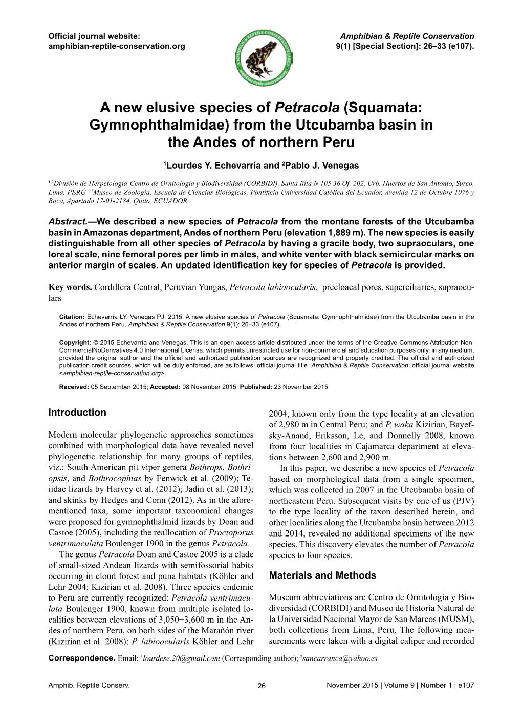 Squamata: Gymnophthalmidae) from the Utcubamba Basin in the Andes of Northern Peru