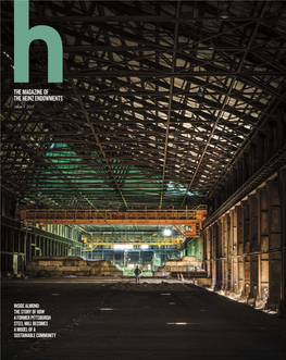 Issue 1, 2017
