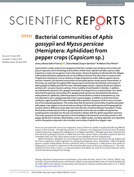 Bacterial Communities of Aphis Gossypii and Myzus Persicae