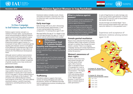 Violence Against Women in Iraq Factsheet