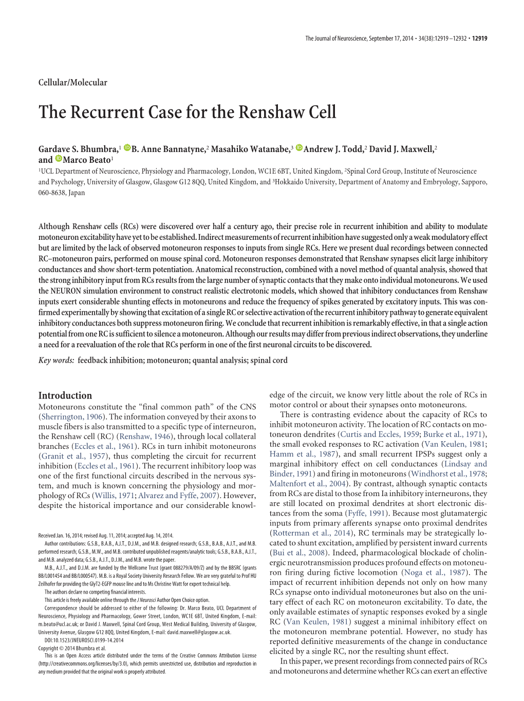 The Recurrent Case for the Renshaw Cell