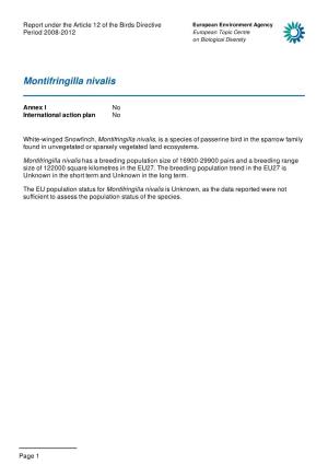 Montifringilla Nivalis