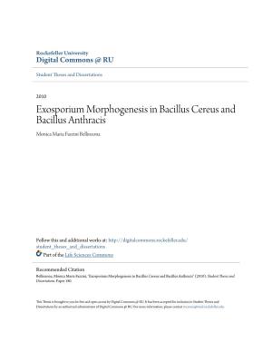 Exosporium Morphogenesis in Bacillus Cereus and Bacillus Anthracis Monica Maria Fazzini Bellinzona