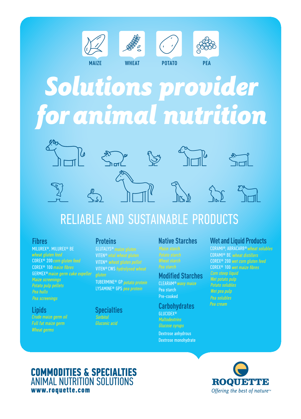 Solutions Provider for Animal Nutrition