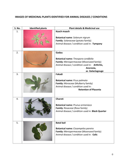 Images of Medicinal Plants Identified for Animal Diseases / Conditions