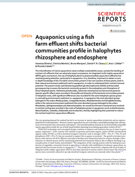 Aquaponics Using a Fish Farm Effluent Shifts Bacterial Communities Profile