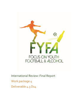 International Review: Final Report Work Package 4 Deliverable 4.3 D14