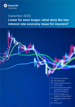 Lower for Even Longer: What Does the Low Interest Rate Economy Mean for Insurers?