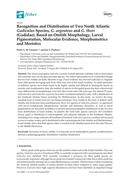 Recognition and Distribution of Two North Atlantic Gadiculus Species, G