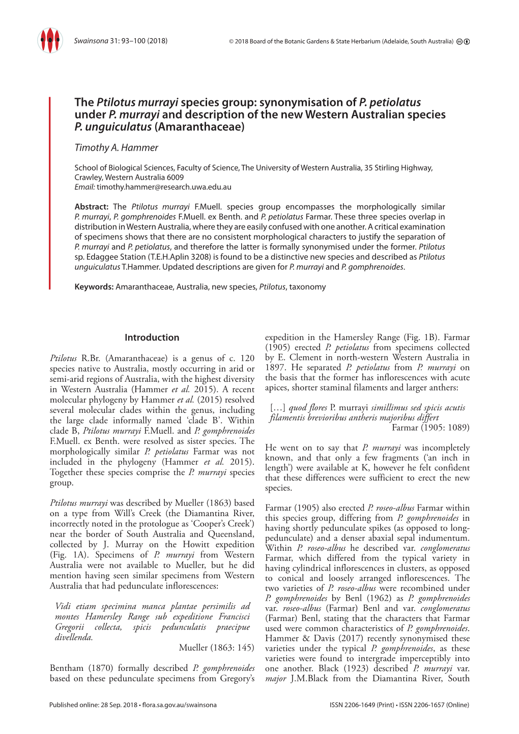 The Ptilotus Murrayi Species Group: Synonymisation of P