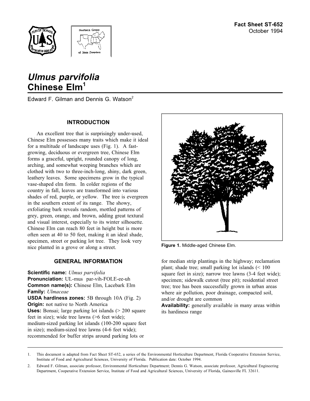 Ulmus Parvifolia Chinese Elm1 Edward F