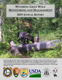 Wyoming Gray Wolf Monitoring and Management 2019 Annual Report