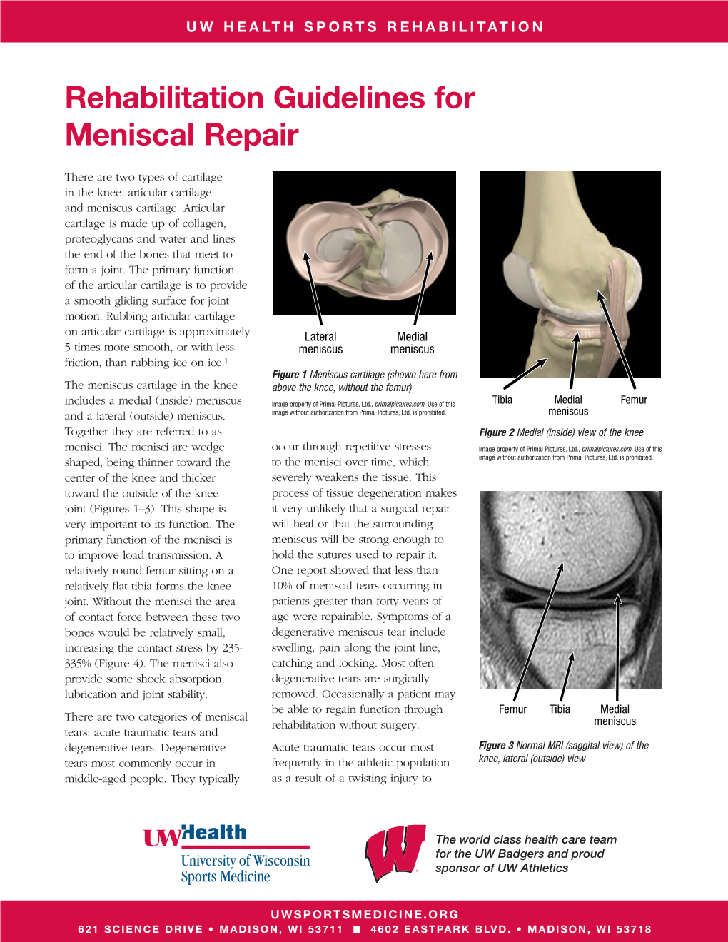 Rehabilitation Guidelines for Meniscal Repair