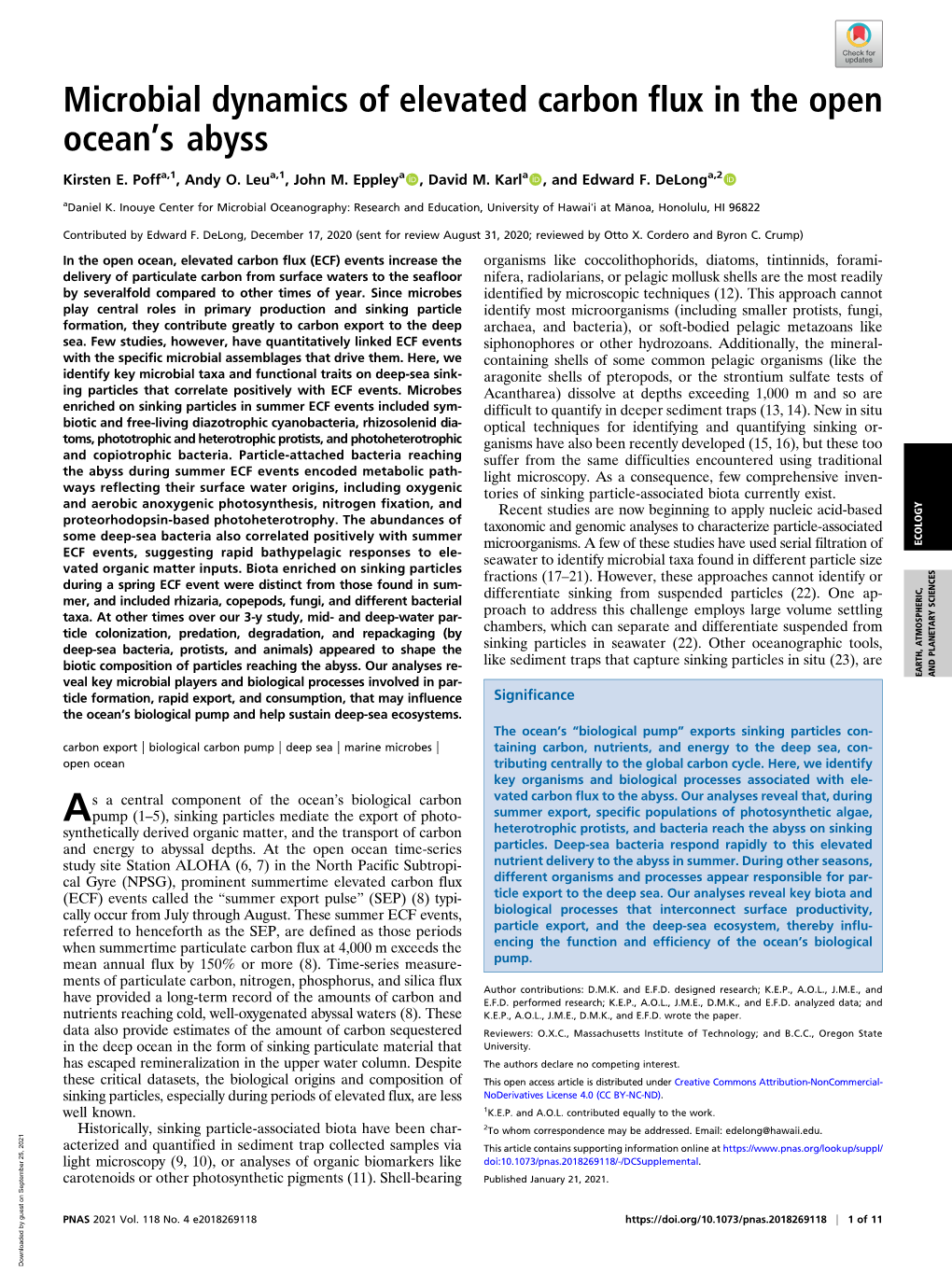 Microbial Dynamics of Elevated Carbon Flux in the Open Ocean's Abyss