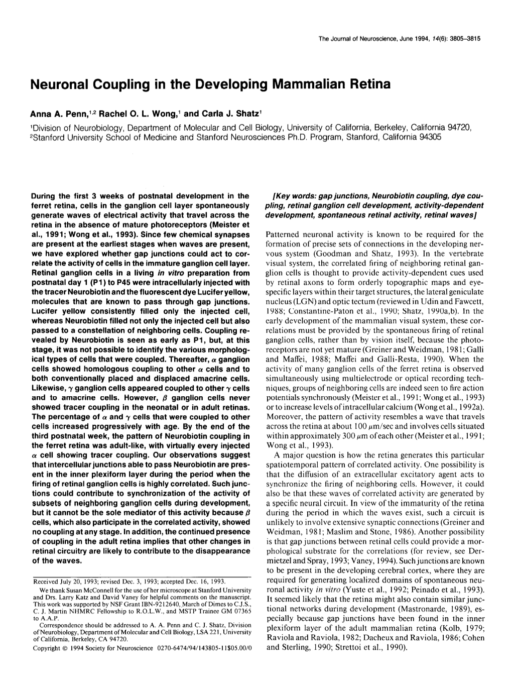 Neuronal Coupling in the Developing Mammalian Retina