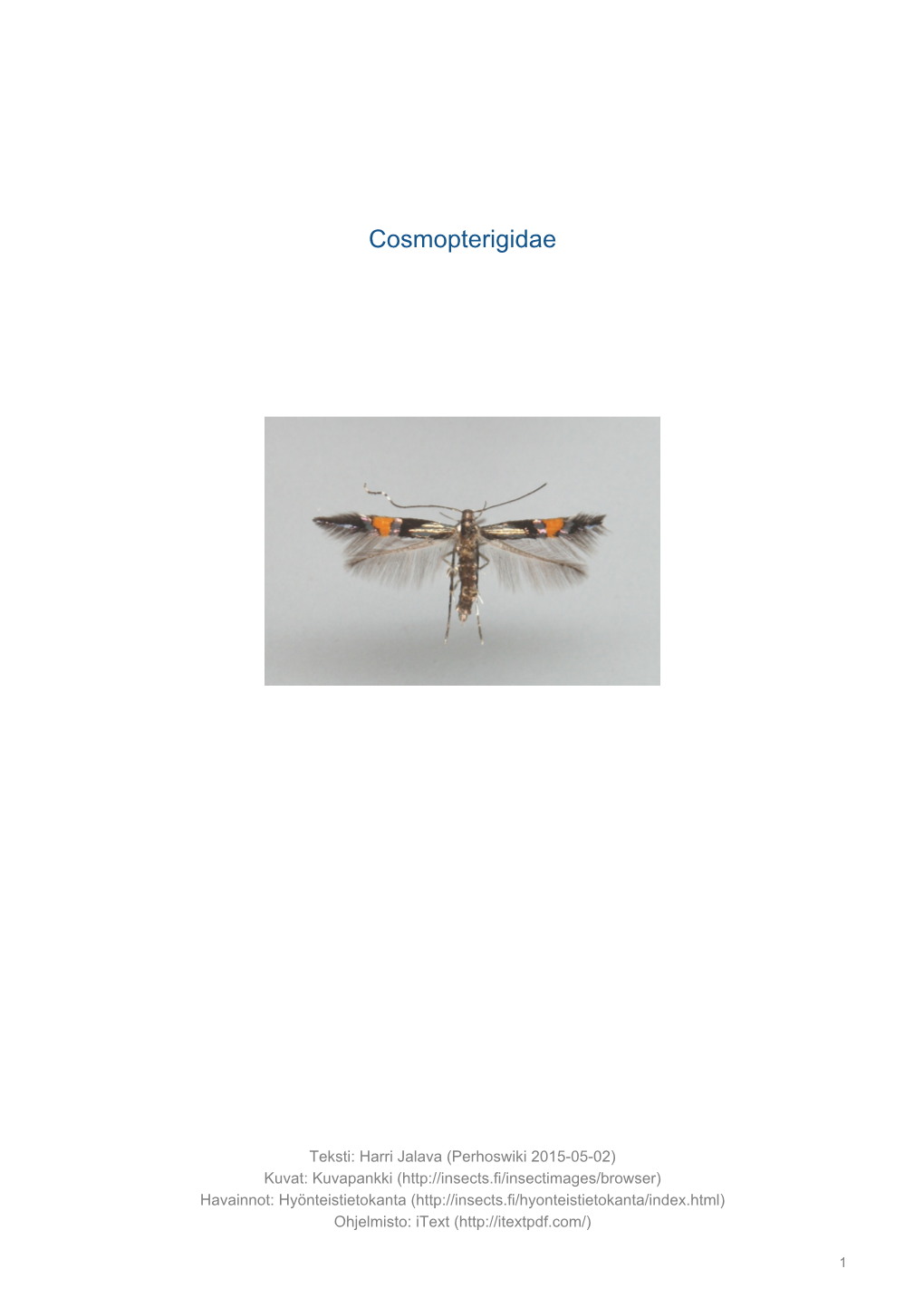 Cosmopterigidae