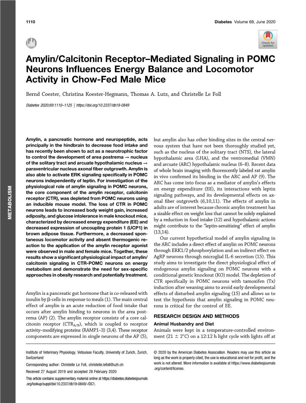 Amylin/Calcitonin Receptor–Mediated Signaling in POMC Neurons Inﬂuences Energy Balance and Locomotor Activity in Chow-Fed Male Mice