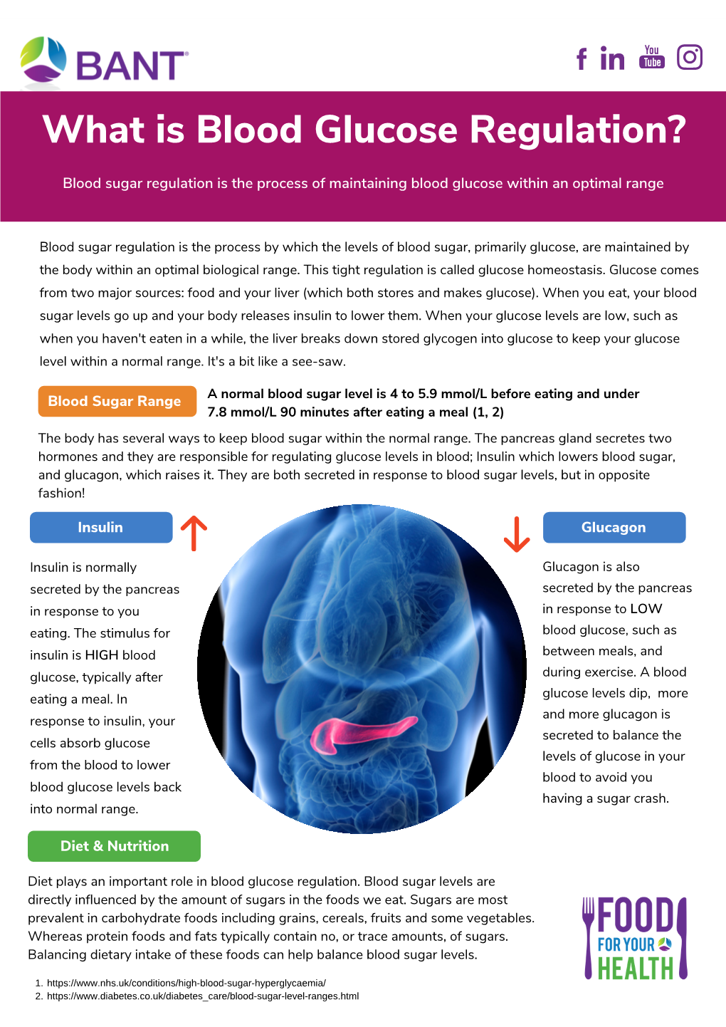 What Is Blood Glucose Regulation?