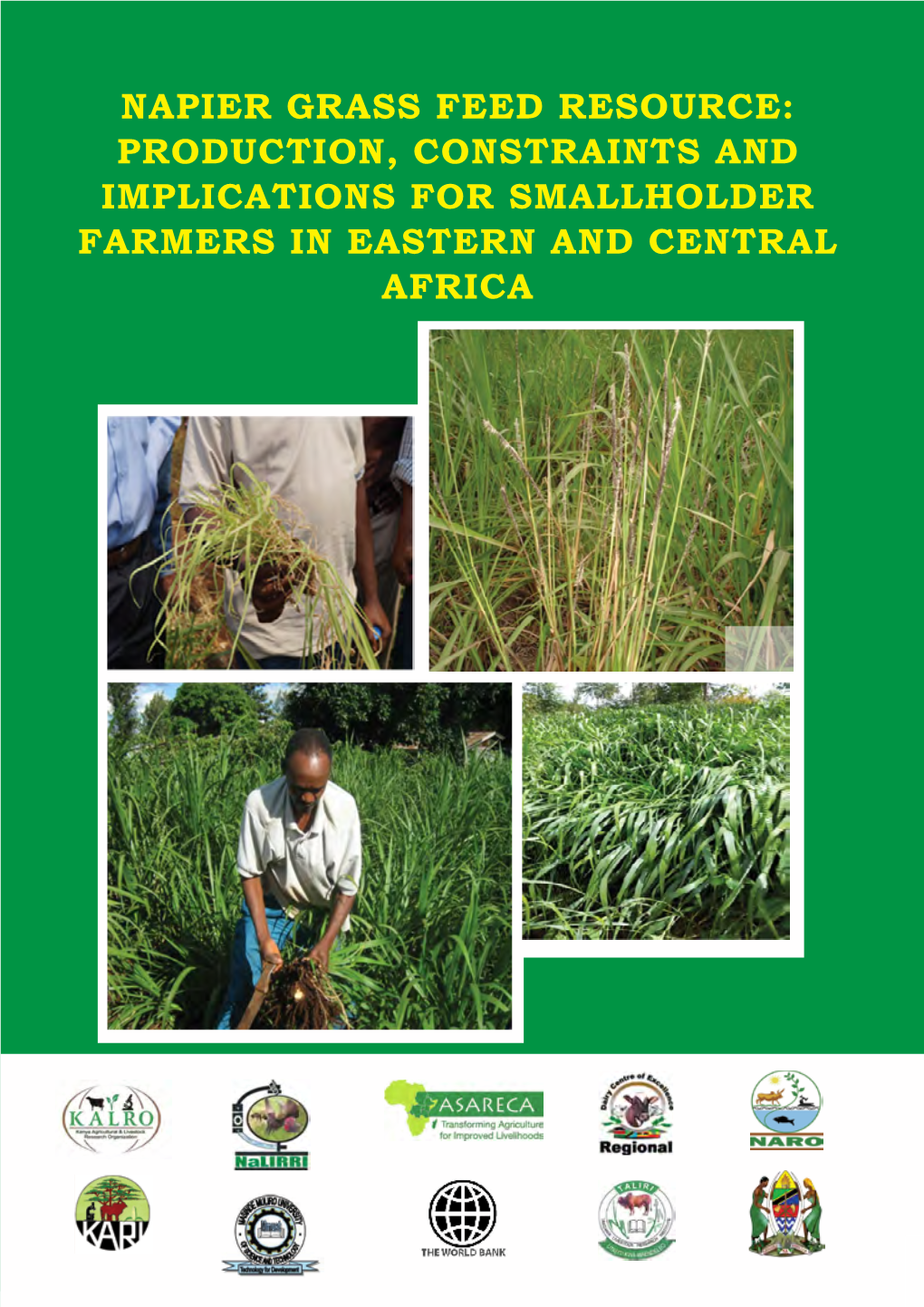 Napier Grass Feed Resource: Production, Constraints and Implications for Smallholder Farmers in Eastern and Central Africa