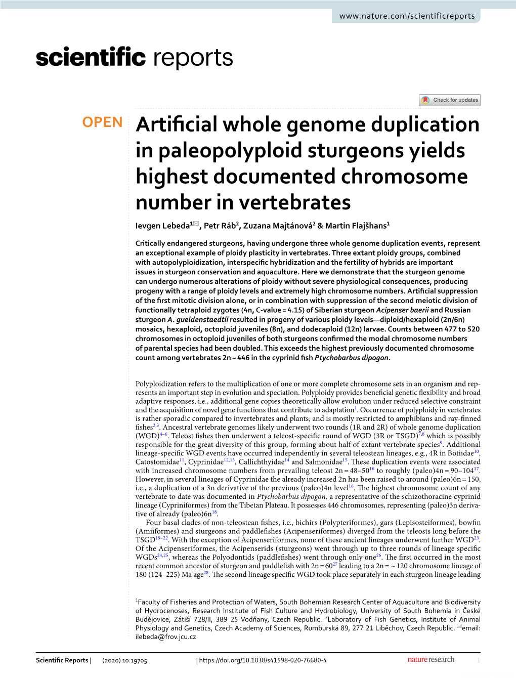 Artificial Whole Genome Duplication in Paleopolyploid Sturgeons Yields Highest Documented Chromosome Number in Vertebrates