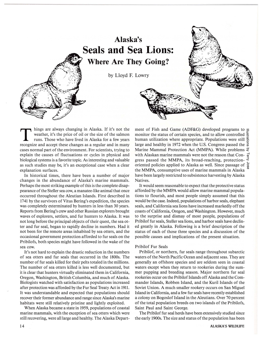 Alaska's Seals and Sea Lions: Where Are They Going?