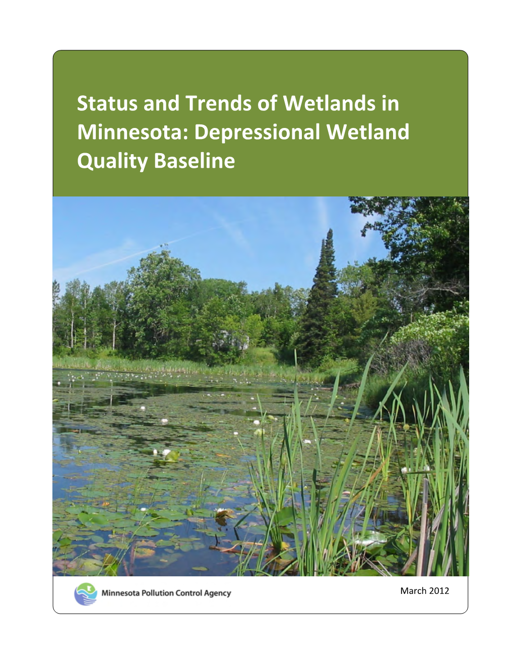 Depressional Wetland Quality Baseline (Wq-Bwm1-06)