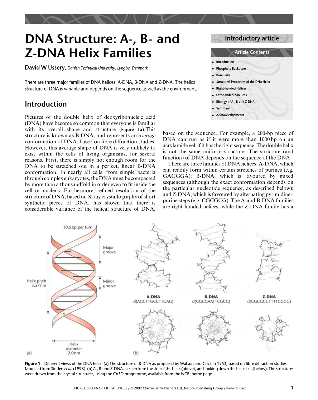 DNA Structure: A-, B- and Z-DNA Helix Families Left-Handed Orientation of the Helix, As Shown in Figure 1B