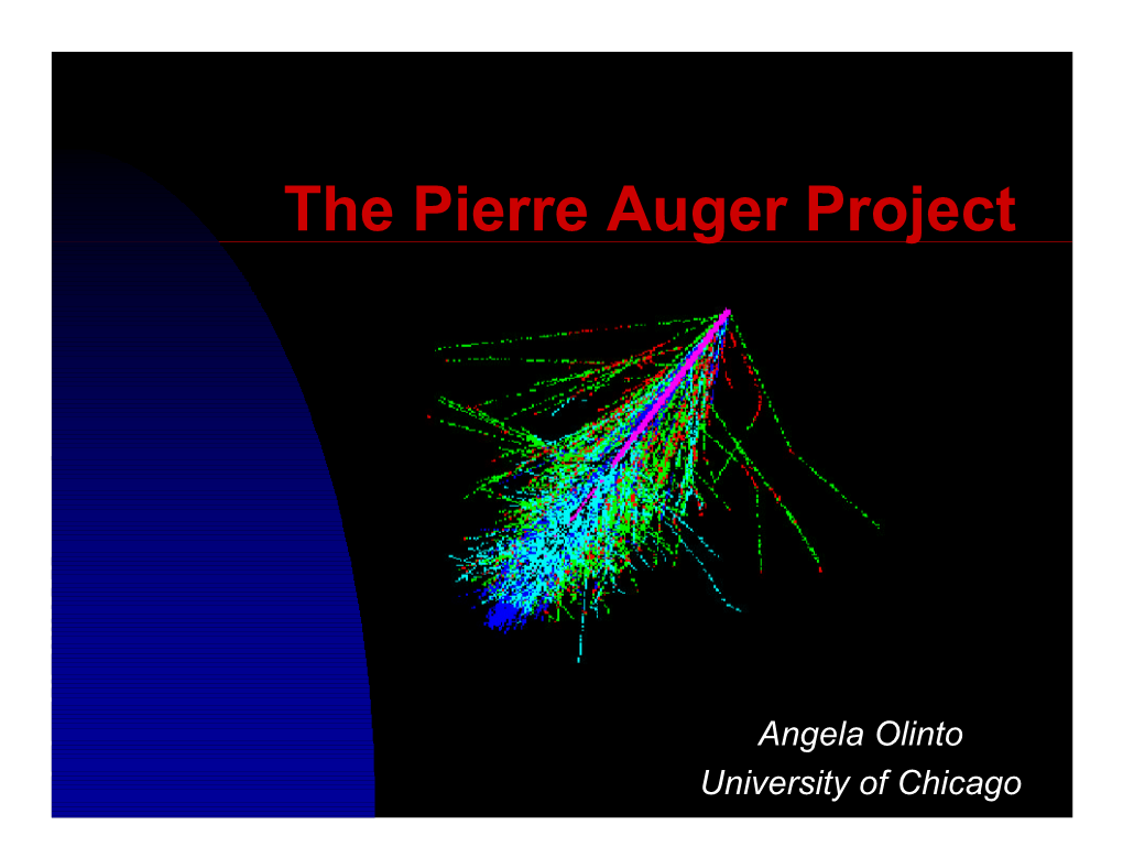 The Pierre Auger Project
