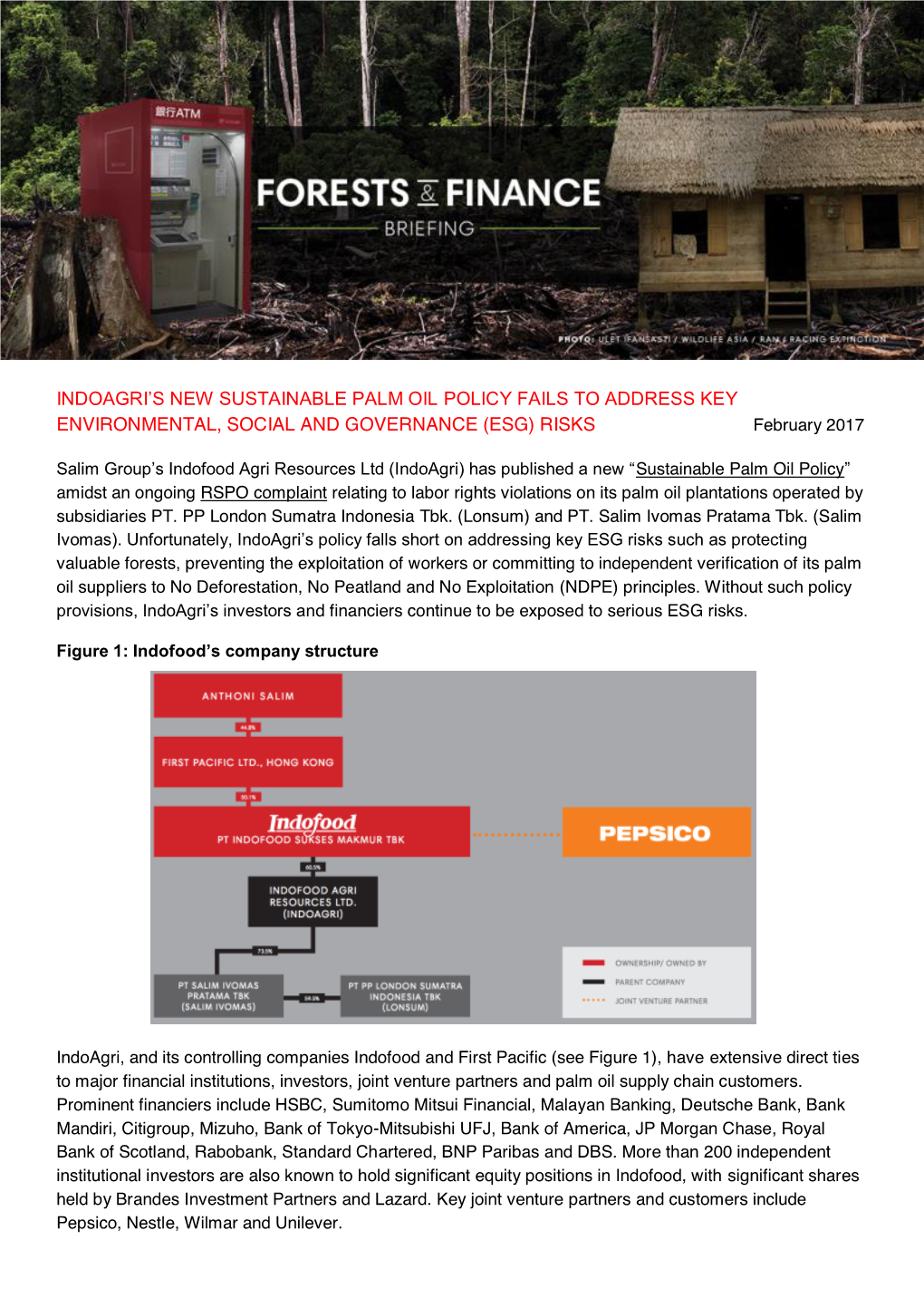 Indoagri's New Sustainable Palm Oil Policy Fails To