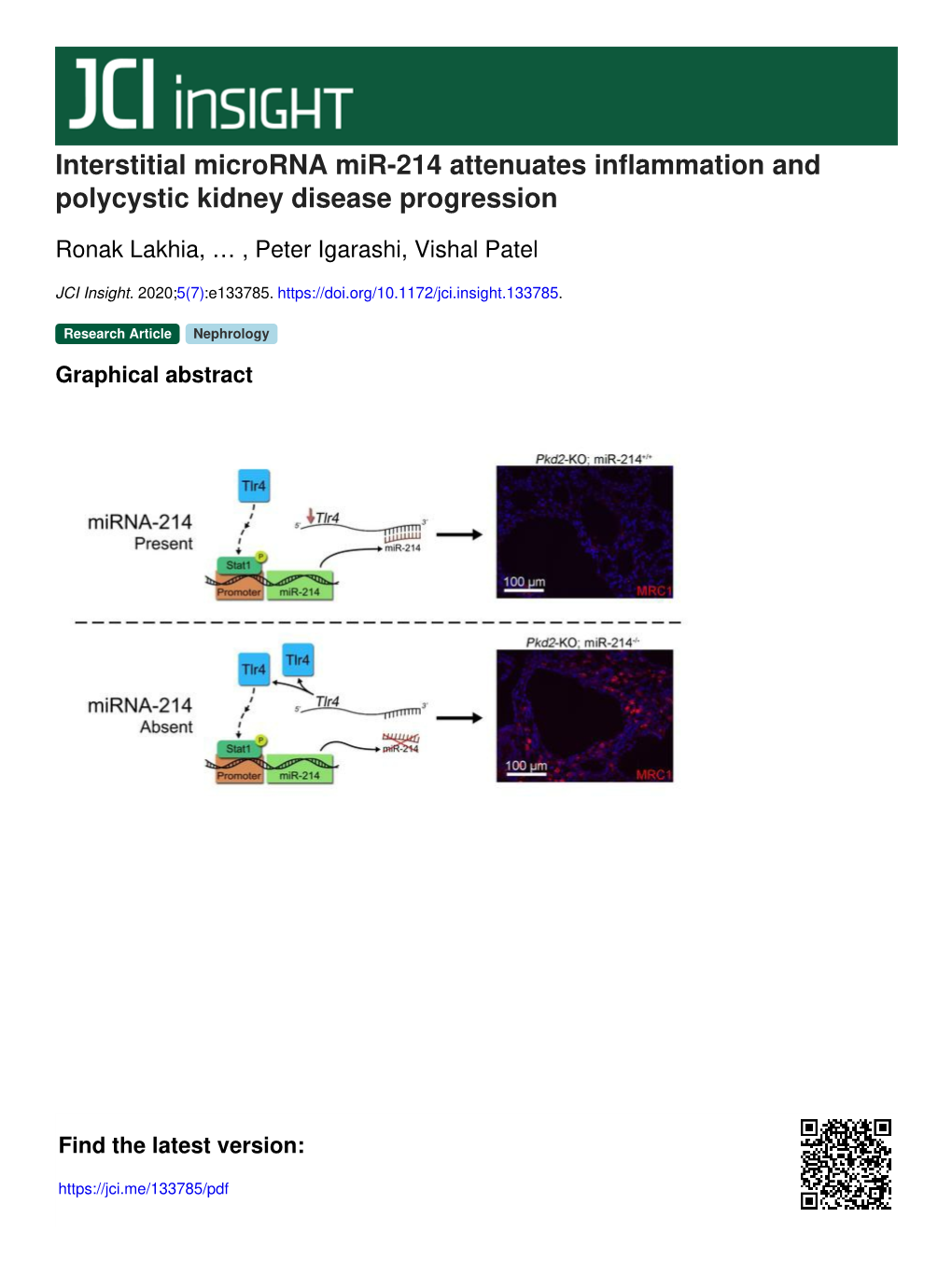 Interstitial Microrna Mir-214 Attenuates Inflammation and Polycystic Kidney Disease Progression