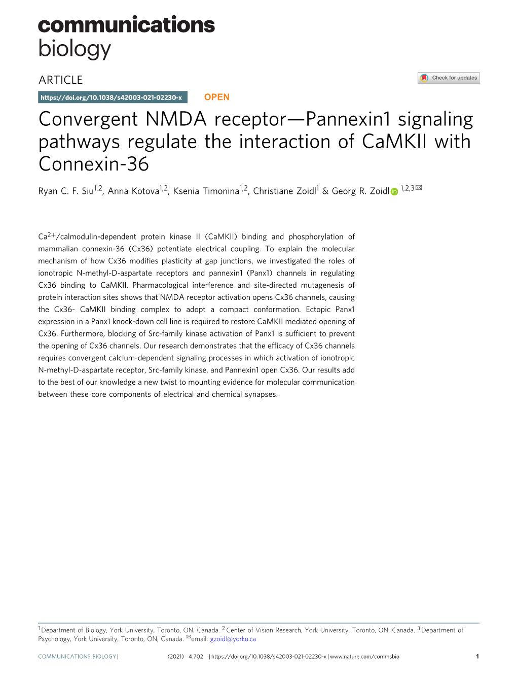 Convergent NMDA Receptorв€”Pannexin1 Signaling Pathways