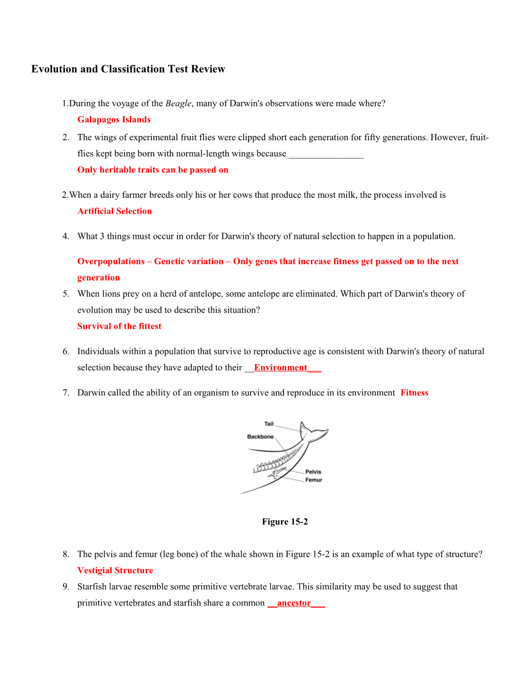 Evolution and Classification Test Review