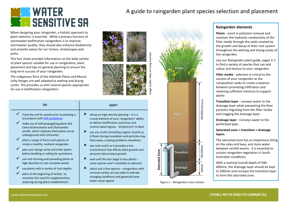 A Guide to Raingarden Plant Species Selection and Placement (PDF)