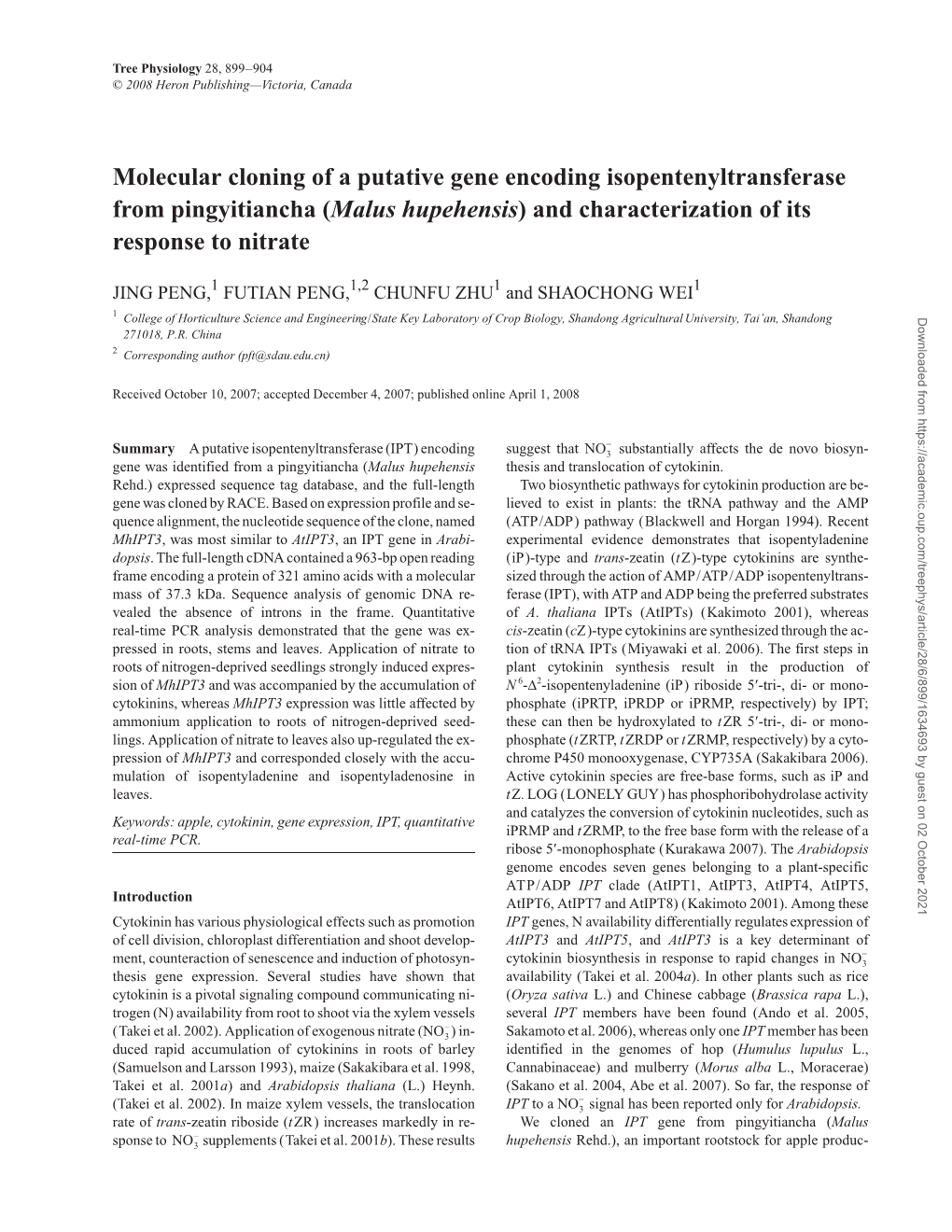 Molecular Cloning of a Putative Gene Encoding Isopentenyltransferase from Pingyitiancha (Malus Hupehensis) and Characterization of Its Response to Nitrate