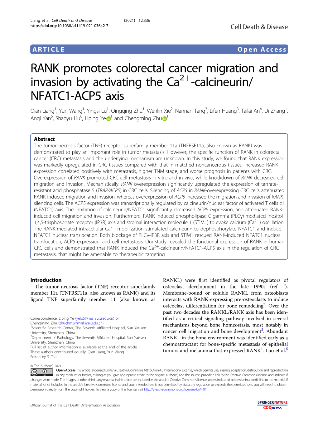 RANK Promotes Colorectal Cancer Migration and Invasion by Activating