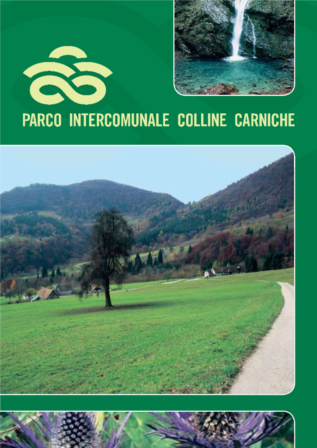 Parco Intercomunale Delle Colline Carniche, Individuato Corsi D’Acqua Principali: Fiume Tagliamento, Renato Simonetti Ai Sensi Della L.R