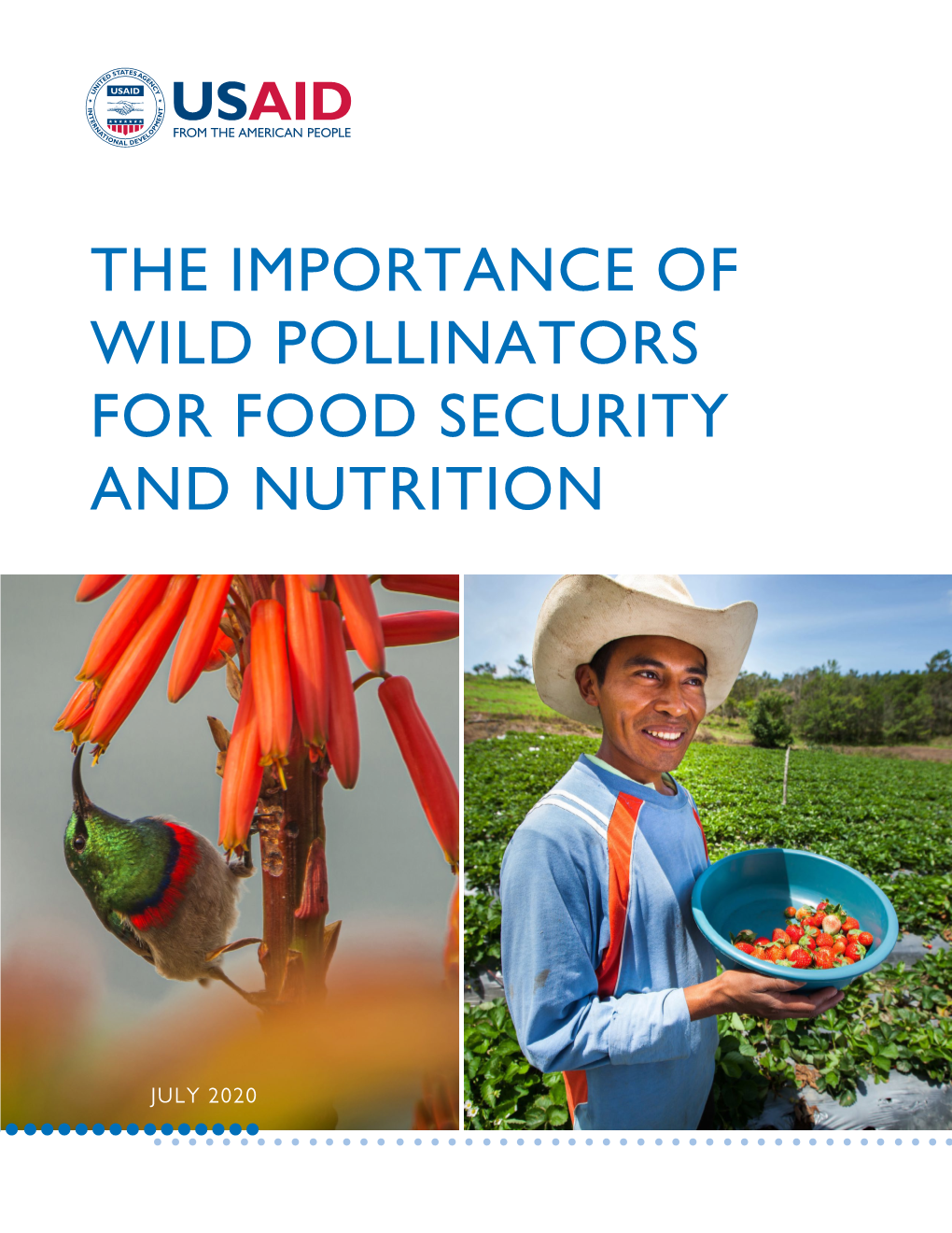 The Importance of Wild Pollinators for Food Security and Nutrition