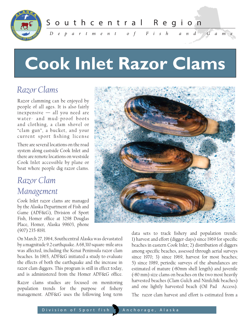 Cook Inlet Razor Clams