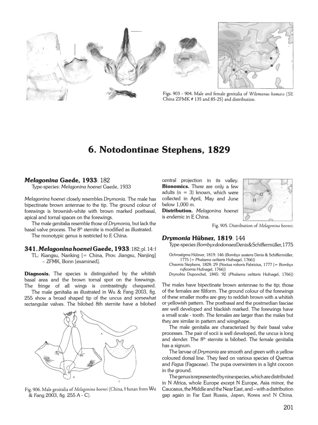 6. Notodontinae Stephens, 1829