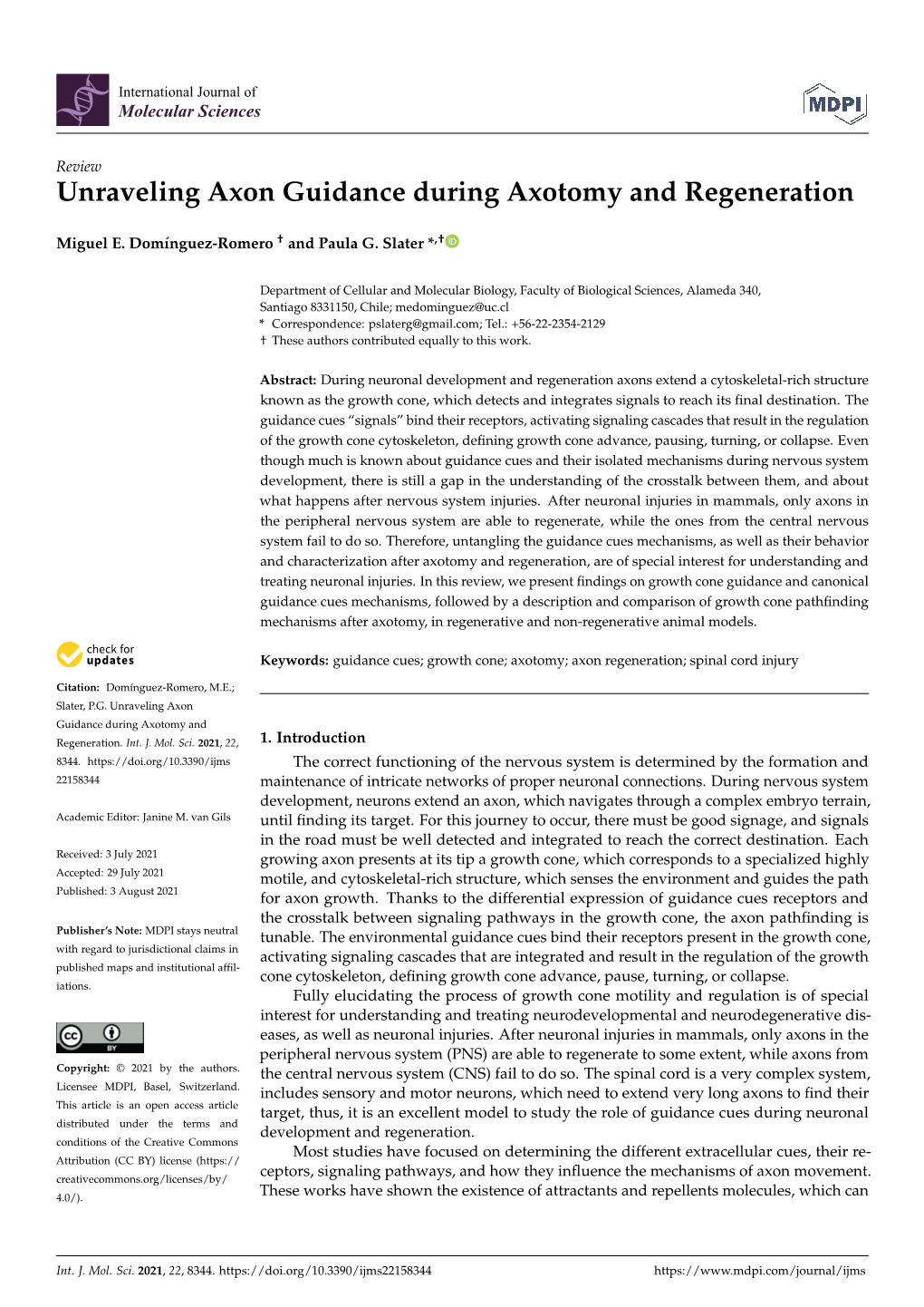 Unraveling Axon Guidance During Axotomy and Regeneration