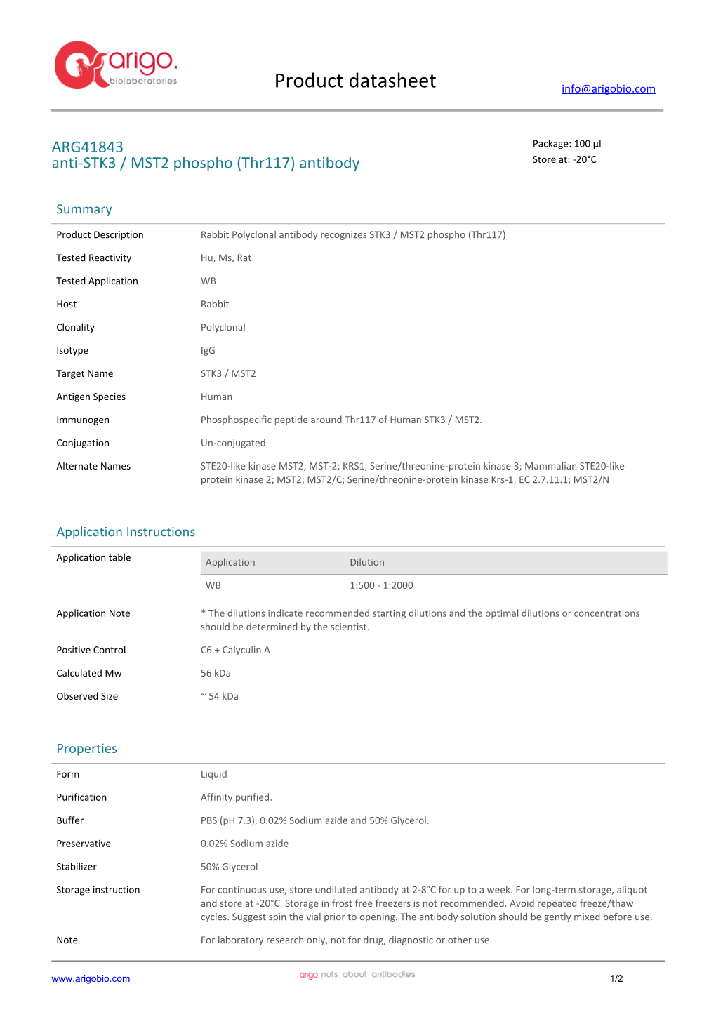 Anti-STK3 / MST2 Phospho (Thr117) Antibody (ARG41843)