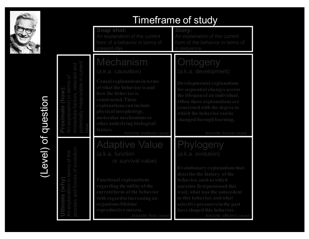 Of Question Adaptive Value Mechanism Phylogeny Ontogeny